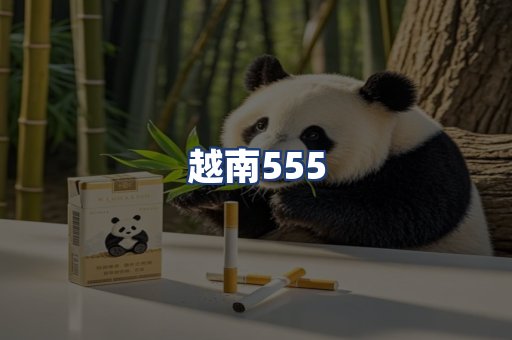 越南555